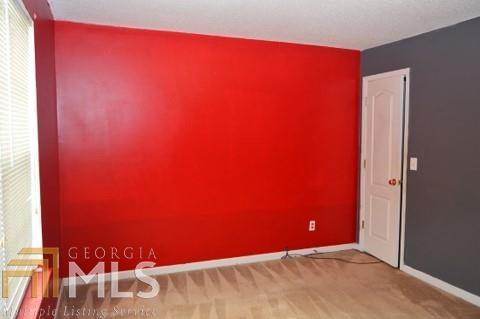 10800 Barberry Dr, Hampton, GA 30228 photo 10
