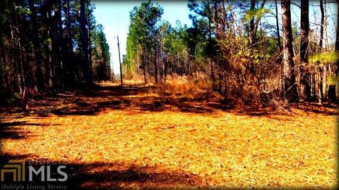 325 Blounts Chapel Rd, Haddock, GA 31033 photo 26