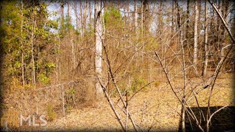 325 Blounts Chapel Rd, Haddock, GA 31033 photo 6