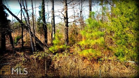 325 Blounts Chapel Rd, Haddock, GA 31033 photo 5