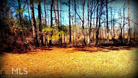 325 Blounts Chapel Rd, Haddock, GA 31033 photo 25