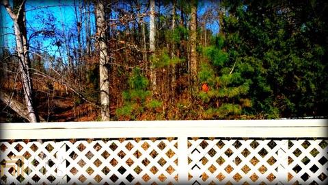325 Blounts Chapel Rd, Haddock, GA 31033 photo 24