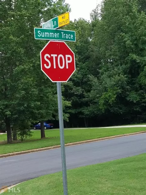 11536 Summer Trce, Hampton, GA 30228 photo 2