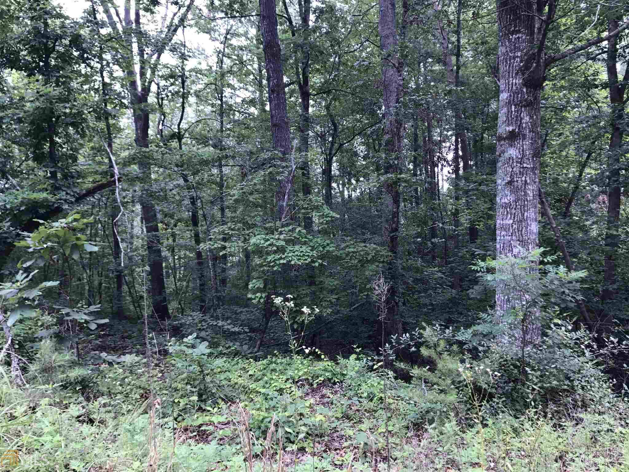 155 Salacoa Rd, Fairmount, GA 30139 photo 9