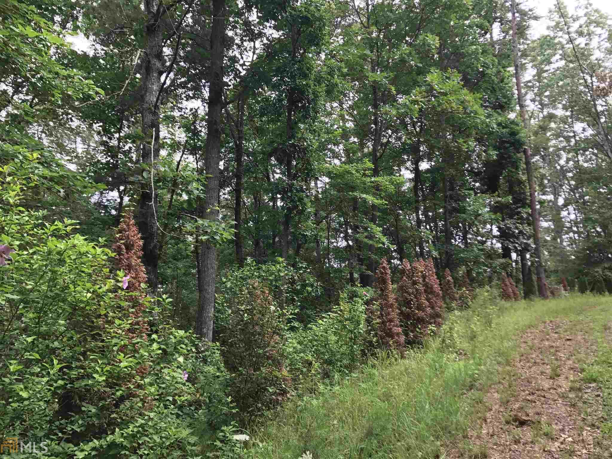 155 Salacoa Rd, Fairmount, GA 30139 photo 8