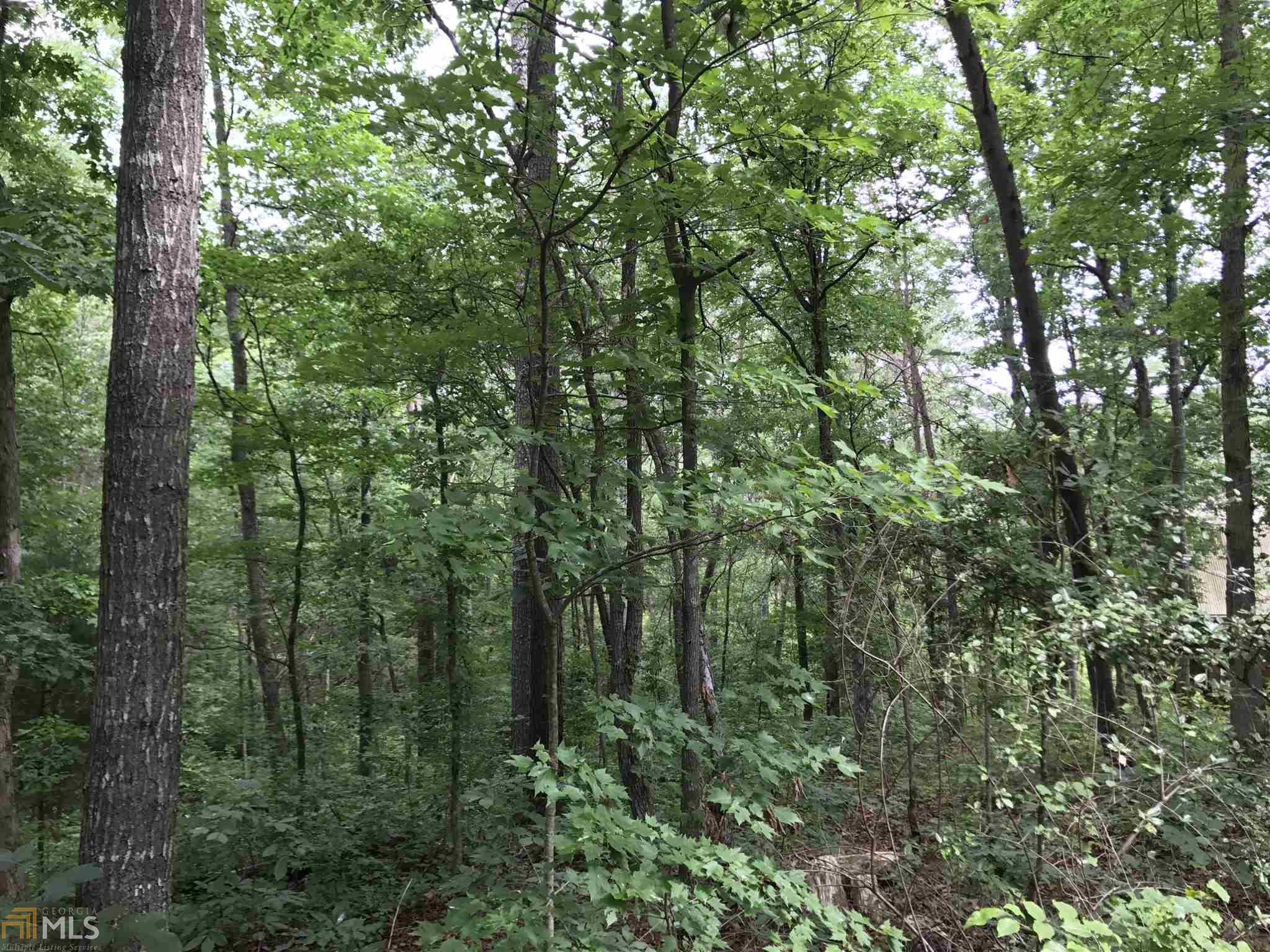 155 Salacoa Rd, Fairmount, GA 30139 photo 7