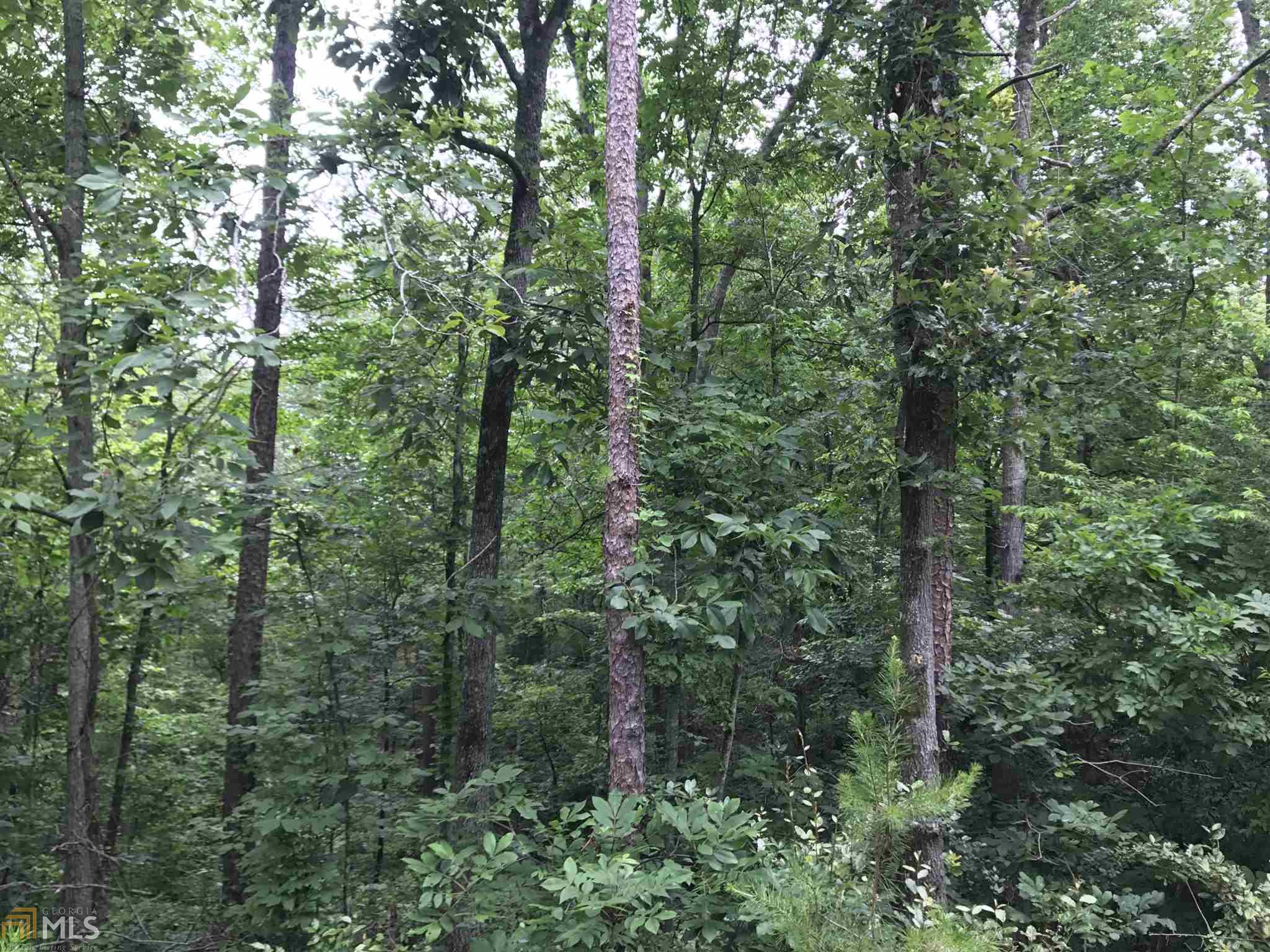 155 Salacoa Rd, Fairmount, GA 30139 photo 10