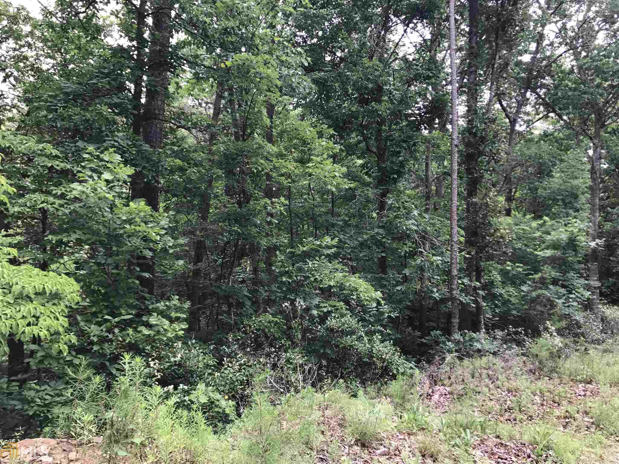 155 Salacoa Rd, Fairmount, GA 30139 photo 11