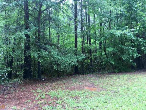 282 Riverview Rd, Franklin, GA 30217 photo 10