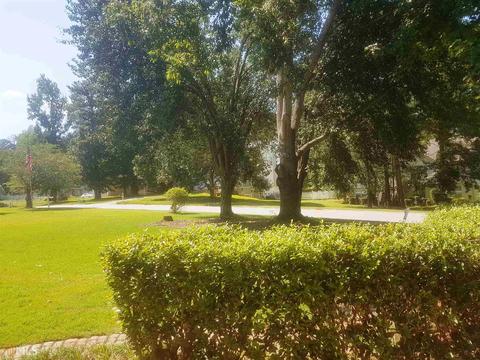 11692 Heritage Dr, Hampton, GA 30228 photo 24