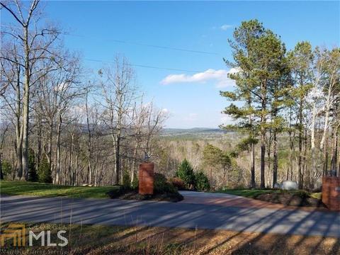 22 Hawks Br, White, GA 30184 photo 3