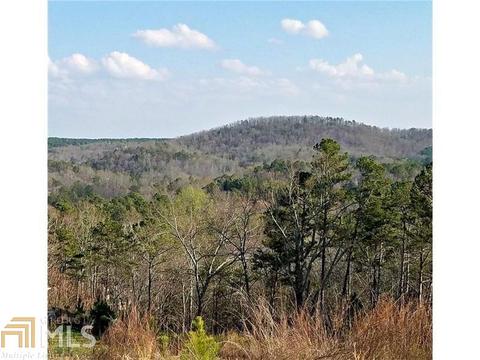 22 Hawks Br, White, GA 30184 photo 2