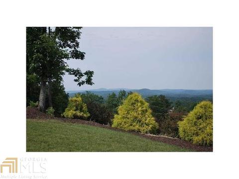 22 Hawks Br, White, GA 30184 photo 7