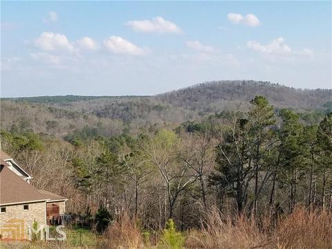 22 Hawks Br, White, GA 30184 photo 4