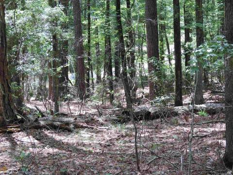 208 Lakeshore Dr, Lagrange, GA 30240 photo 9