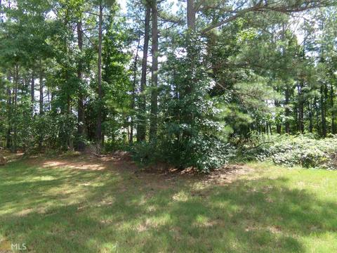 137 Revolutionary Dr, Hampton, GA 30228 photo 27