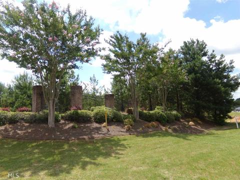 137 Revolutionary Dr, Hampton, GA 30228 photo 30