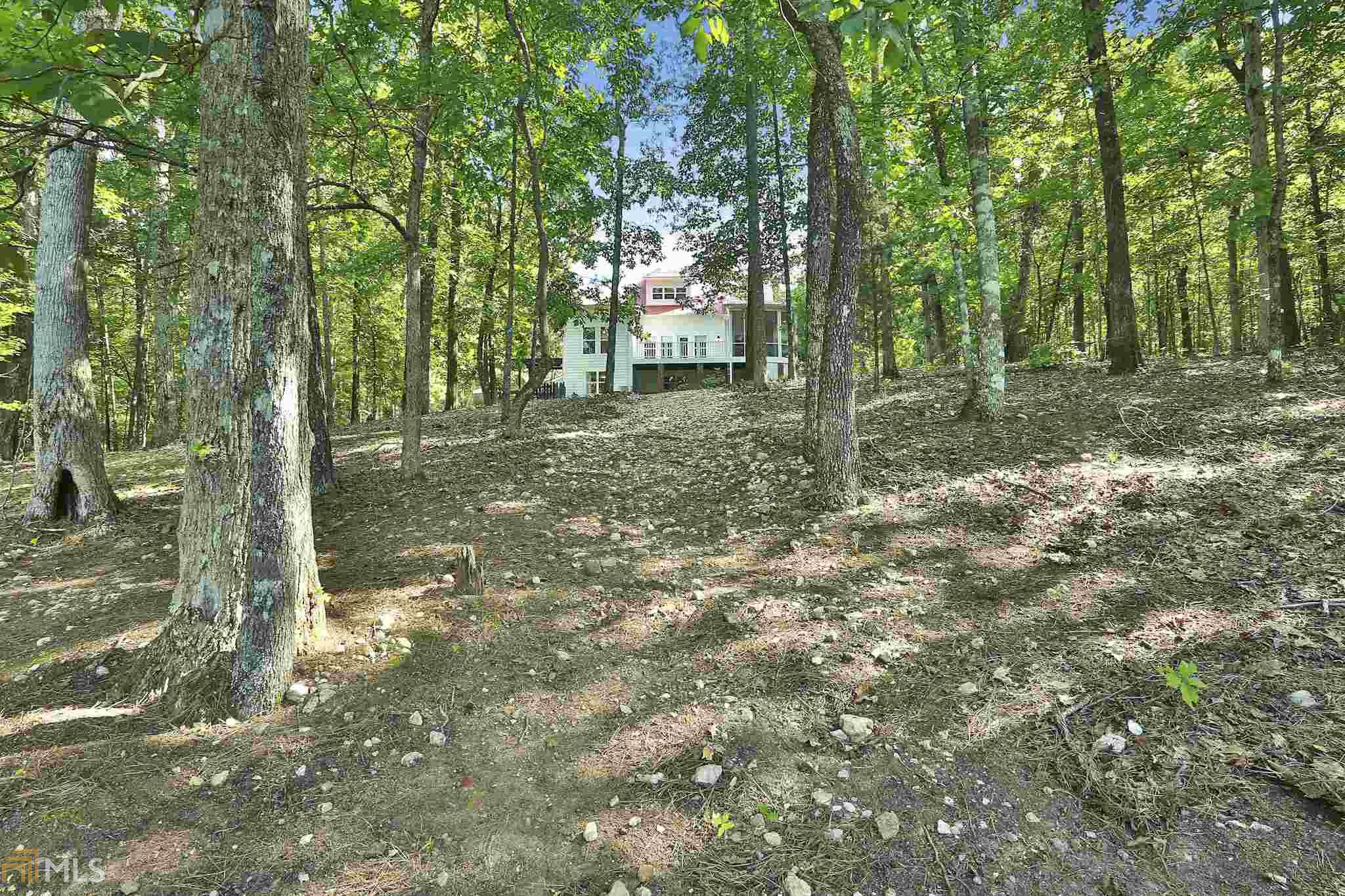 136 Wild Azalea Trl, Hampton, GA 30228 photo 33