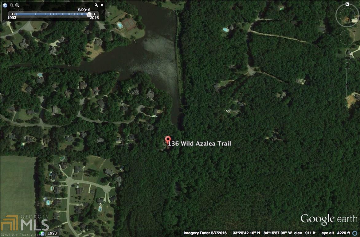 136 Wild Azalea Trl, Hampton, GA 30228 photo 36