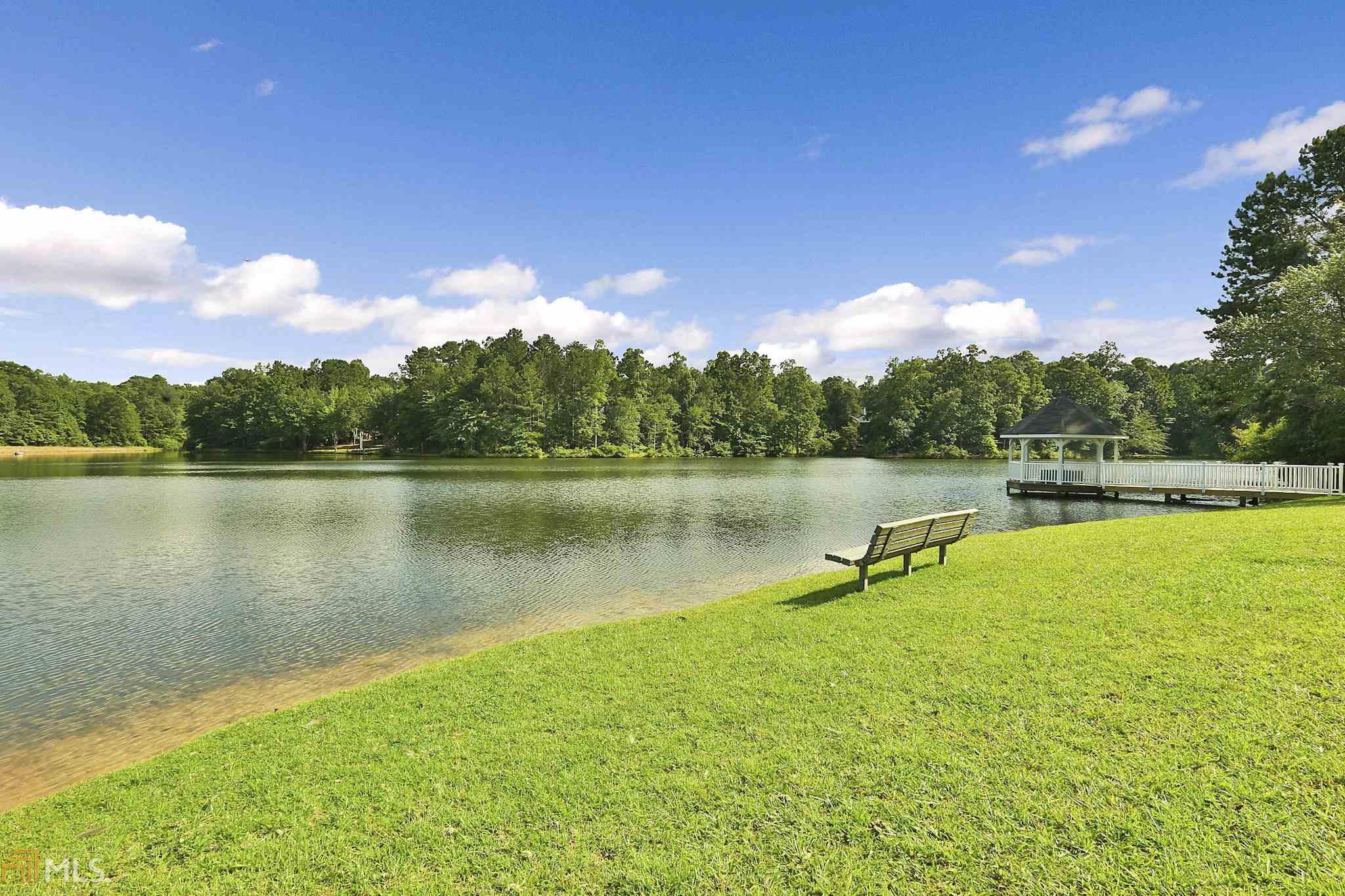 136 Wild Azalea Trl, Hampton, GA 30228 photo 35