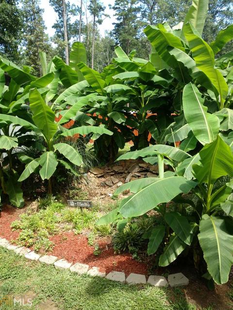 5997 Stagecoach Rd, Rex, GA 30273 photo 22
