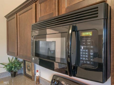 1249 Vienna Ct, Hampton, GA 30228 photo 4
