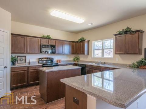 1249 Vienna Ct, Hampton, GA 30228 photo 3