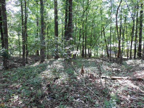 204 Lakeshore Dr, Lagrange, GA 30240 photo 9