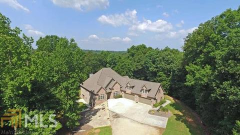 294 River Dr, Carnesville, GA 30521 photo 1