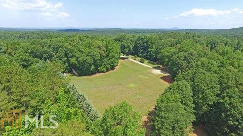 294 River Dr, Carnesville, GA 30521 photo 30