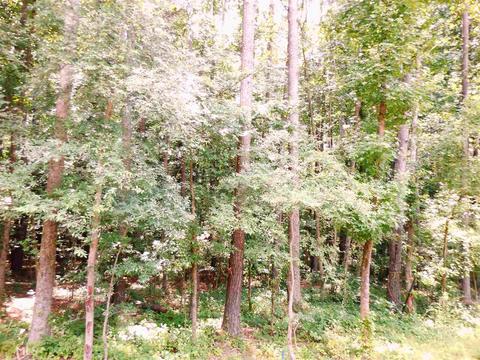 2689 Duluth Hwy, Duluth, GA 30096 photo 5