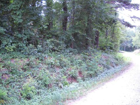 227 Old Jarrett Mill Rd, Toccoa, GA 30577 photo 13