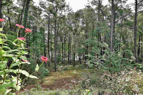 114 Deal Dr, Lagrange, GA 30240 photo 34