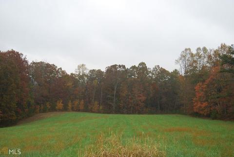 981 Low Gap Rd, Clarkesville, GA 30523 photo 34