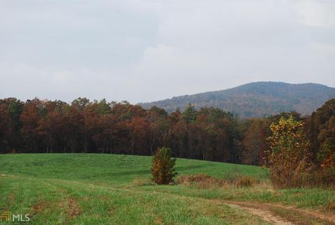 981 Low Gap Rd, Clarkesville, GA 30523 photo 1