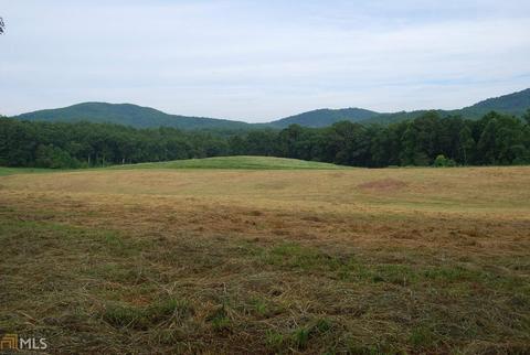 981 Low Gap Rd, Clarkesville, GA 30523 photo 5