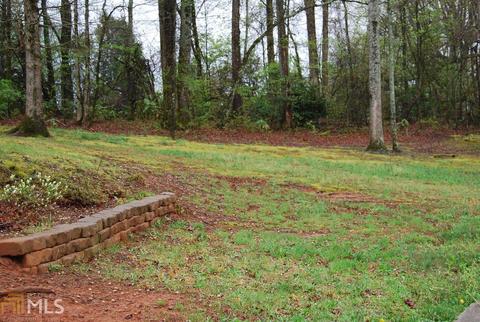 167 Panacea Dr, Demorest, GA 30535 photo 17