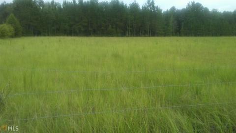 2400 Nesmith Proctor Rd, Brooklet, GA 30415 photo 4
