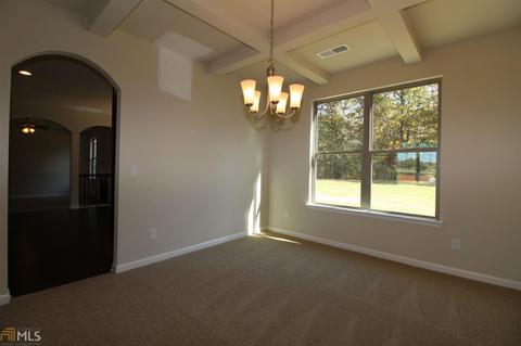 3201 Alhambra Cir, Hampton, GA 30228 photo 20