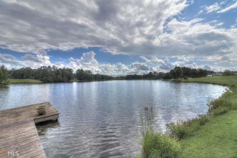 335 Bear Creek Trl, Hampton, GA 30228 photo 5