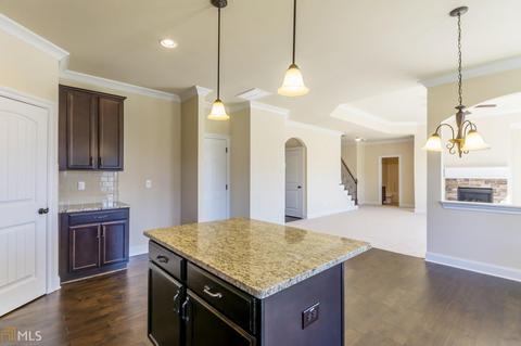 3176 Alhambra Cir, Hampton, GA 30228 photo 17