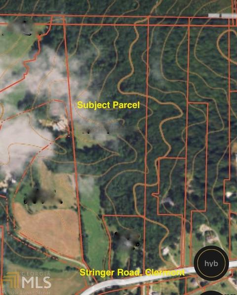 6747 Stringer Rd, Clermont, GA 30527 photo 7
