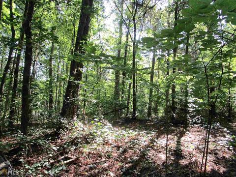 98 Sears Dr, Comer, GA 30629 photo 34