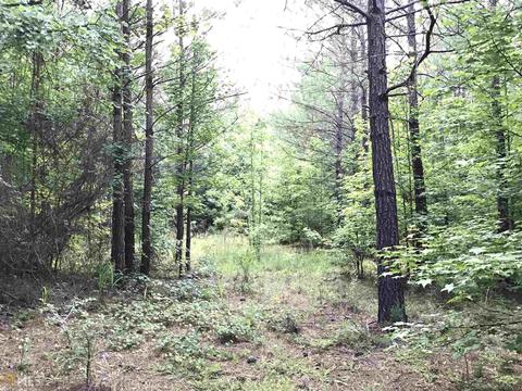 1765 Comer Rd, Comer, GA 30629 photo 3