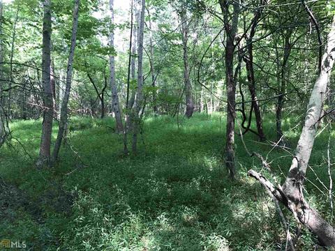 1765 Comer Rd, Comer, GA 30629 photo 1