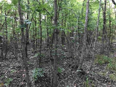 1765 Comer Rd, Comer, GA 30629 photo 2