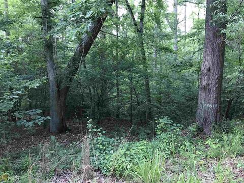 1765 Comer Rd, Comer, GA 30629 photo 6