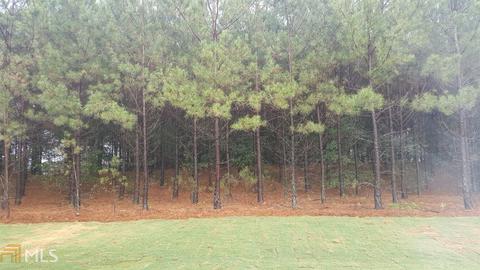 2536 Foxy Dr, Bethlehem, GA 30620 photo 24