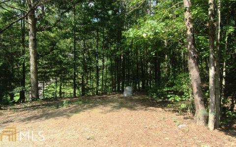 32 Four Paws, Murphy, NC 28906 photo 7