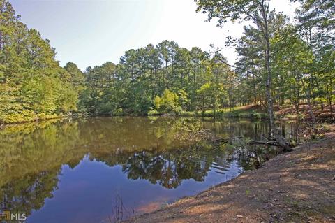 7029 Blacks Bluff Rd, Cave Spring, GA 30124 photo 9